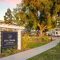 Image of Ivy Park at Bonita (1)