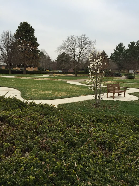 Image of Lacon Rehab And Nursing (3)