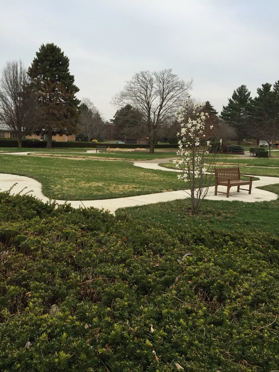 Image of Lacon Rehab And Nursing (3)