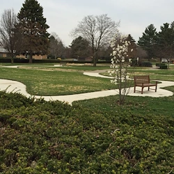 Image of Lacon Rehab And Nursing (3)