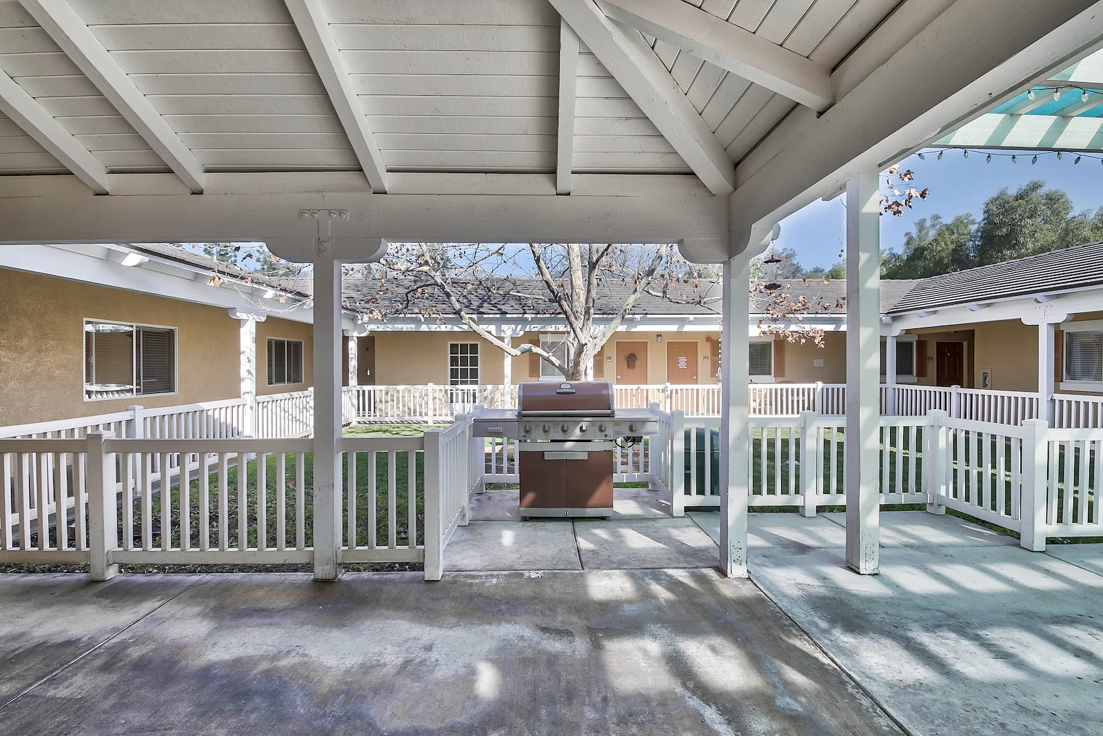 Image of Sunlit Gardens (2)