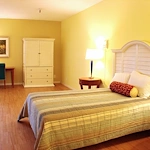 Image of The Olive Branch (6)