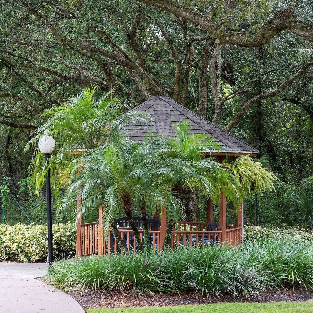 Image of Arden Courts at Palm Harbor (3)