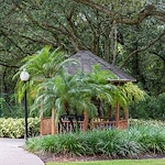 Image of Arden Courts of Palm Harbor (3)
