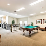 A spacious, carpeted game room in Godfrey, Illinois features a pool table with balls and cues, two cushioned wooden chairs, framed artwork, and natural light. Railings and potted plants add safety and greenery—perfect for assisted living residents.