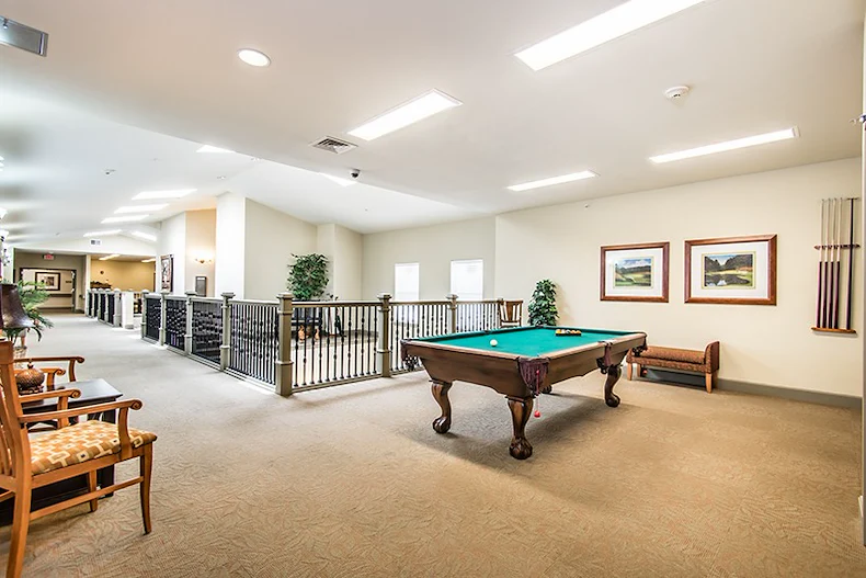 A spacious, carpeted game room in Godfrey, Illinois features a pool table with balls and cues, two cushioned wooden chairs, framed artwork, and natural light. Railings and potted plants add safety and greenery—perfect for assisted living residents.