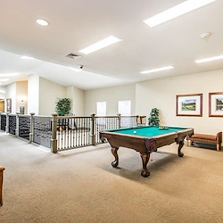 A spacious, carpeted game room in Godfrey, Illinois features a pool table with balls and cues, two cushioned wooden chairs, framed artwork, and natural light. Railings and potted plants add safety and greenery—perfect for assisted living residents.