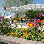 Image of Bethany Home Society San Joaquin County (4)