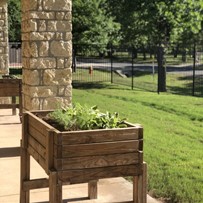Image of Cibolo Creek (4)