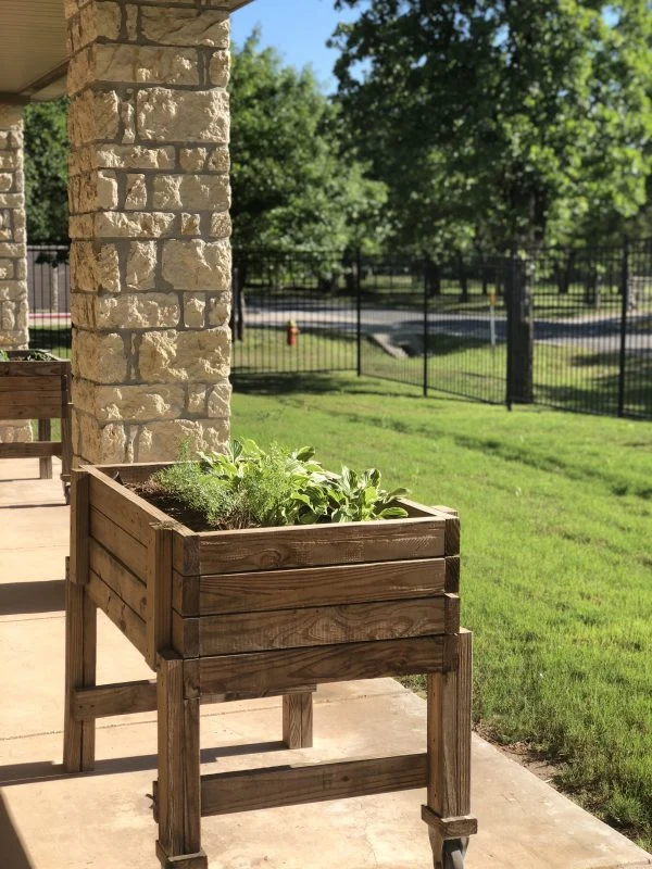 Image of Cibolo Creek (4)