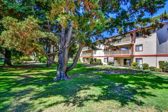 Image of Hammer Lane Village (5)