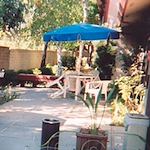 Image of Vacaville Autumn Leaves (4)