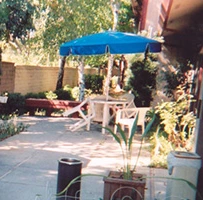 Image of Vacaville Autumn Leaves (4)