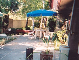 Image of Vacaville Autumn Leaves (4)