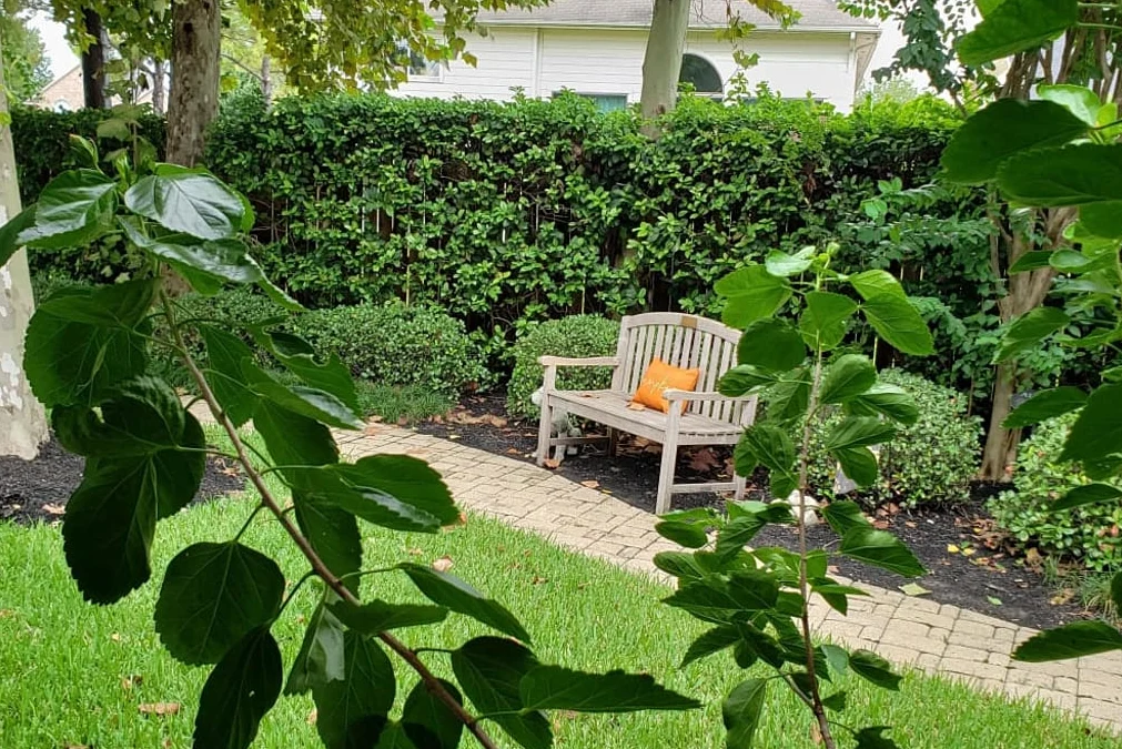 Image of Villas of Sycamore Creek Ranch at The Heights (6)