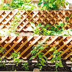 Image of Sundance Creek Post Acute (8)