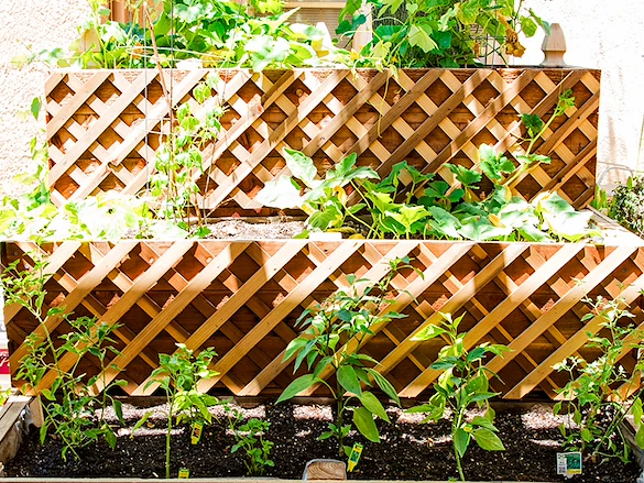 Image of Sundance Creek Post Acute (8)