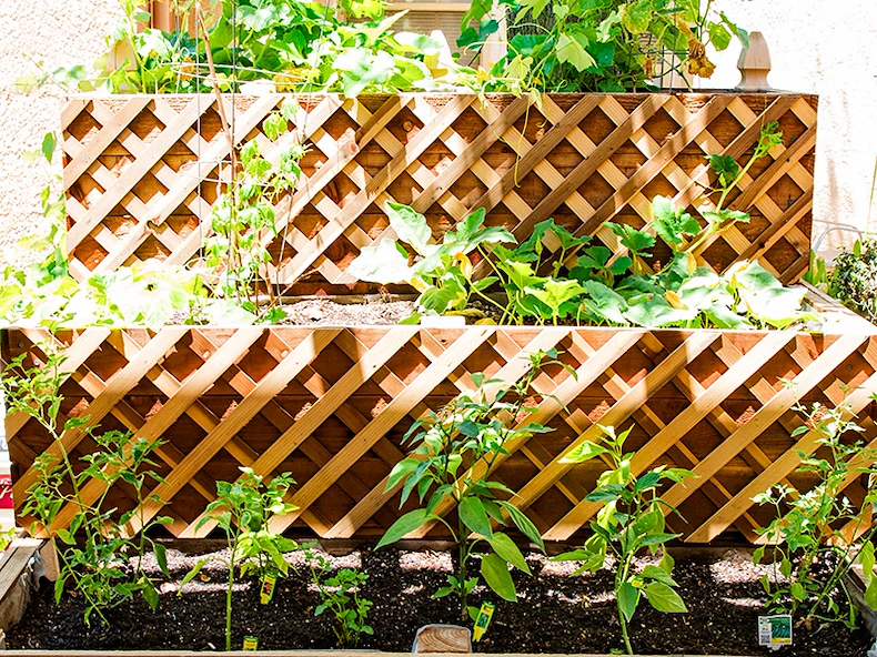 Image of Sundance Creek Post Acute (8)