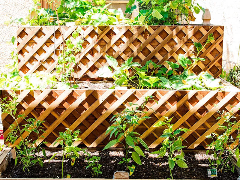 Image of Sundance Creek Post Acute (8)