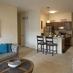 Image of Azalea at Hamilton (4)