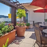 Image of Sunrise of Beverly Hills (9)