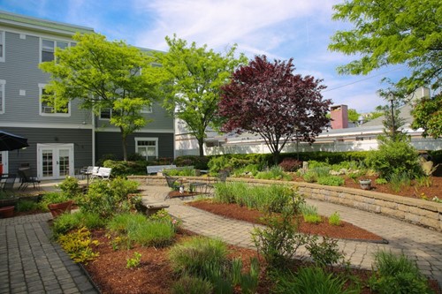 Image of Cadbury Commons (2)
