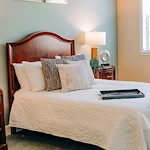 Image of Autumn Leaves of Georgetown (4)