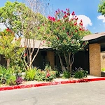 Image of The Lev At San Antonio (1)