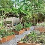Image of Sunrise of Bellevue (10)