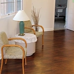 Image of Cherry Blossom (9)