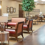 Image of Trellis Chino (6)