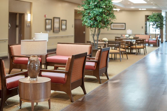 Image of Trellis Chino (6)