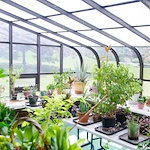 Image of Ascension Casa Scalabrini Senior Living (6)