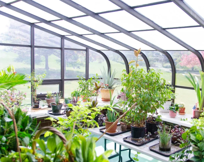 Image of Ascension Casa Scalabrini Senior Living (6)