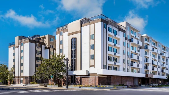 Image of Ivy Park at Hayward (1)