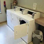 Image of Cherry Blossom (8)