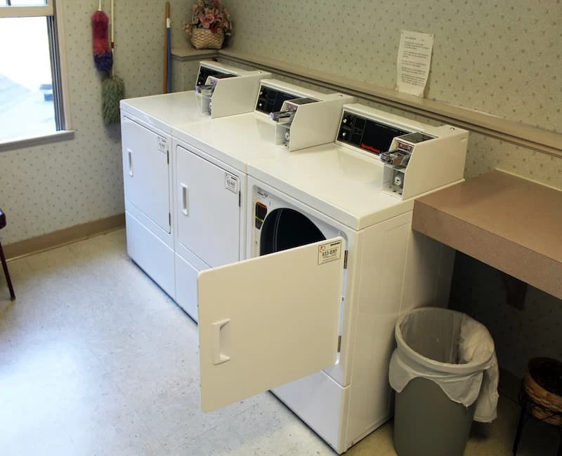 Image of Cherry Blossom (8)