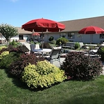 Image of Laurels Of Defiance (9)