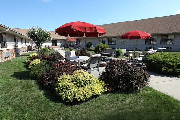 Image of Laurels Of Defiance (9)