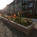 Image of Affinity at Olympia (10)