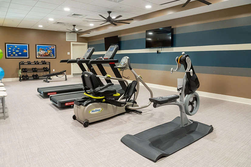 Image of The Goldton at Venice (6)