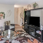 Image of Bangor Elderly (2)