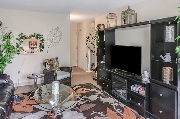 Image of Bangor Elderly (2)