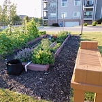 Image of Branchwood Village (7)