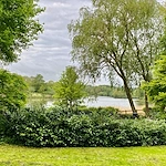 Image of Azalea Gardens Memory Care (4)