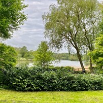 Image of Azalea Gardens Memory Care (4)