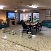 Image of Ridgmar Medical Lodge (5)