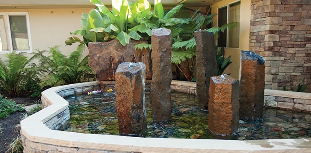 Image of Sunny View (3)