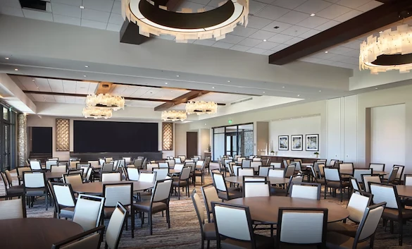 Image of Sun City Festival (3)