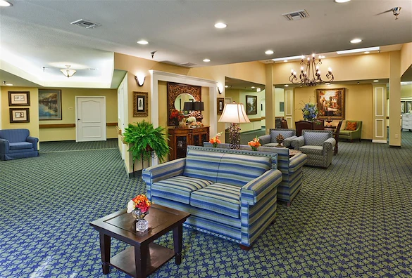 Image of Palma Real (8)